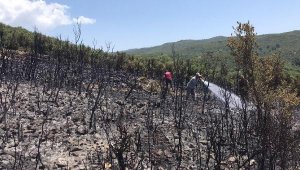 Kaş'ta makilik yangını