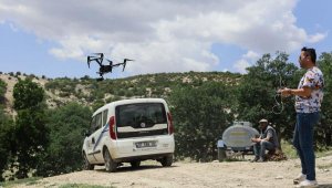 Kurt saldırısından kaçan 30 keçi dronla arandı