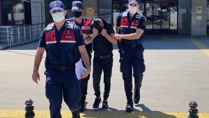 Manavgat'ta fuhuş operasyonu