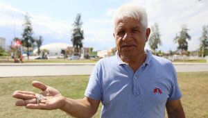 Otellerden dereye akıtılan havuz kimyasalı nedeniyle yavru balıklar öldü