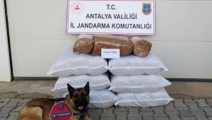 Otobüste kaçak tütün ele geçirildi