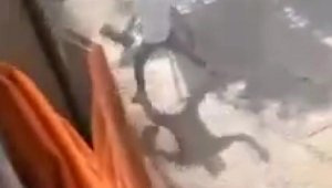 Yolcu ve şoför arasındaki ücret kavgası cep telefonu kamerasında