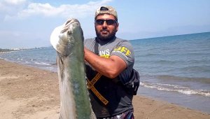 15 kiloluk liça balığı avladı