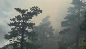 Antalya'da orman yangını