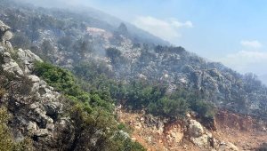 Kaş'ta makilik yangını