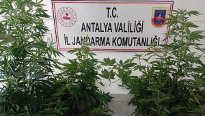 Kumluca'da eve uyuşturucu baskını