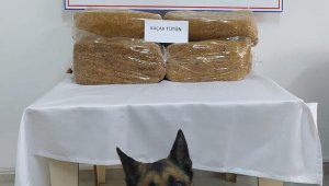 Otobüste kaçak tütün ele geçirildi