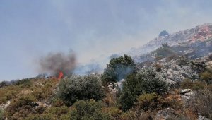 Yangında 25 hektar makilik zarar gördü