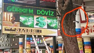 Ağaç gövdesine güvenlik kamerası ve reklam panosu tepki çekti