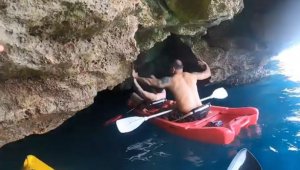Akdeniz foklarının yaşam alanı mağaralara 'tur' tepkisi