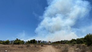Antalya'da orman yangını