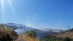 Gazipaşa'da bahçe yangını