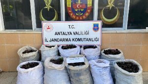 Jandarmadan harnup hırsızlarına suçüstü