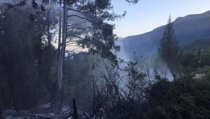 Kemer'de orman yangını büyümeden söndürüldü