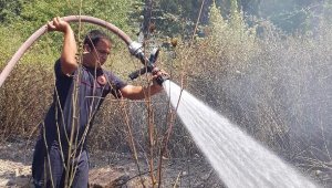 Kopan tel yangın çıkarttı