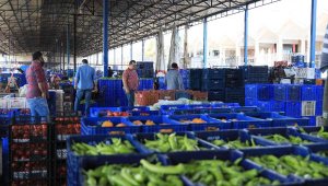 Turizm hareketliliği, Antalyalı üreticiye can suyu oldu