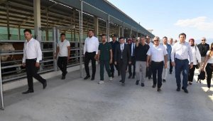 Vali Yazıcı Korkuteli'de