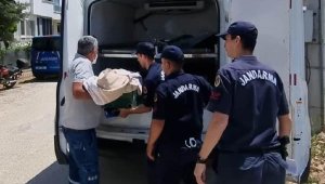 2 yaşındaki bebeğini öldüren anne: İçimde biri var, kızımın hayatına sebep oldu