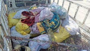 600 kilo keçiboynuzu çalan şüpheliler yakalandı