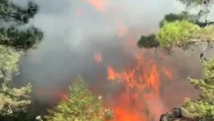 Antalya'da çıkan orman yangını, 2 saatte kontrol altına alındı