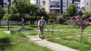 Antalya'da köpek ölümlerine yenileri eklendi