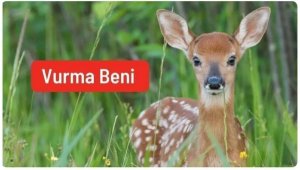 Av izni verilen hayvanlar için 120 bin imza: Vurma Beni