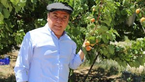 Başkan Böcek, 'Çevre Dostu Çiftçi Kart' projesini tanıtacak