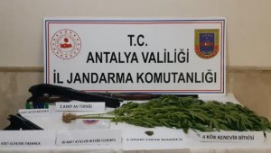 Finike'de eve uyuşturucu baskını