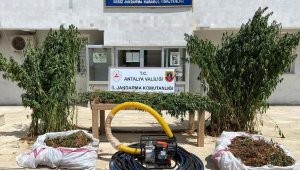 Jandarmadan uyuşturucu operasyonu