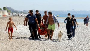 Kaçırılmak istenen 'Elsa', sahibi bıçaklanınca başından ayrılmadı