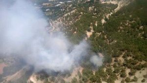 Kaş'ta orman yangını