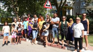 Mahalleli, Antalya'daki köpek ölümlerine çare arıyor