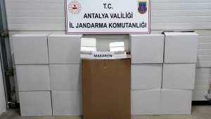Yolcu otobüsünde 150 bin boş makaron ele geçirildi