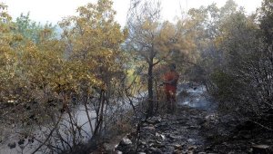 Antalya'da 5 hektar orman yandı