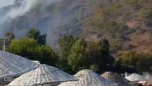Antalya'da orman yangını 1 saatte kontrol altına alındı