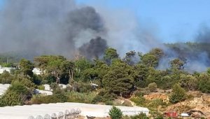 Antalya'da orman yangını