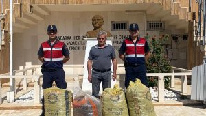 Çalınan keçiboynuzları sahibine teslim edildi