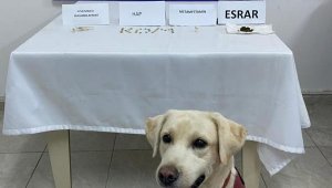 Durdurulan otomobilde uyuşturucu çıktı