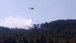 Düşen yıldırım yangına neden oldu; 2 hektar orman zarar gördü