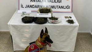 Gazipaşa'da uyuşturucu operasyonu