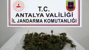Jandarmadan uyuşturucu operasyonları