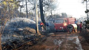 Kumluca'daki yangında hasar tespiti tamamlandı