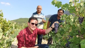 Milletvekili Uslu, Elmalı ve Finike'de