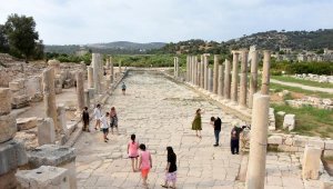 Patara ve Olimpos, Türkiye sıralamasında