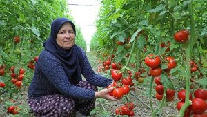 Toprakları suya kavuştu Manavgatlı çiftçinin yüzü güldü