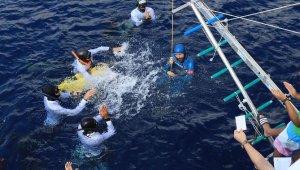 Türkiye Serbest Dalış Şampiyonası Kaş'ta yapılıyor