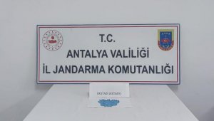 Uyuşturucu haplarla yakalandı