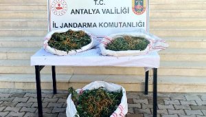 Uyuşturucu maddeyi sazlığa saklarken yakalandı