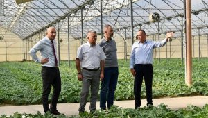 Vali Yazıcı: Antalya güçlü bir tarımsal altyapıya sahip