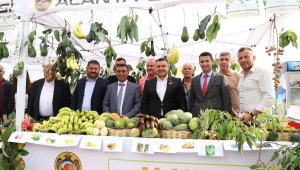 Alanya Tropikal Meyve Festivali düzenlendi